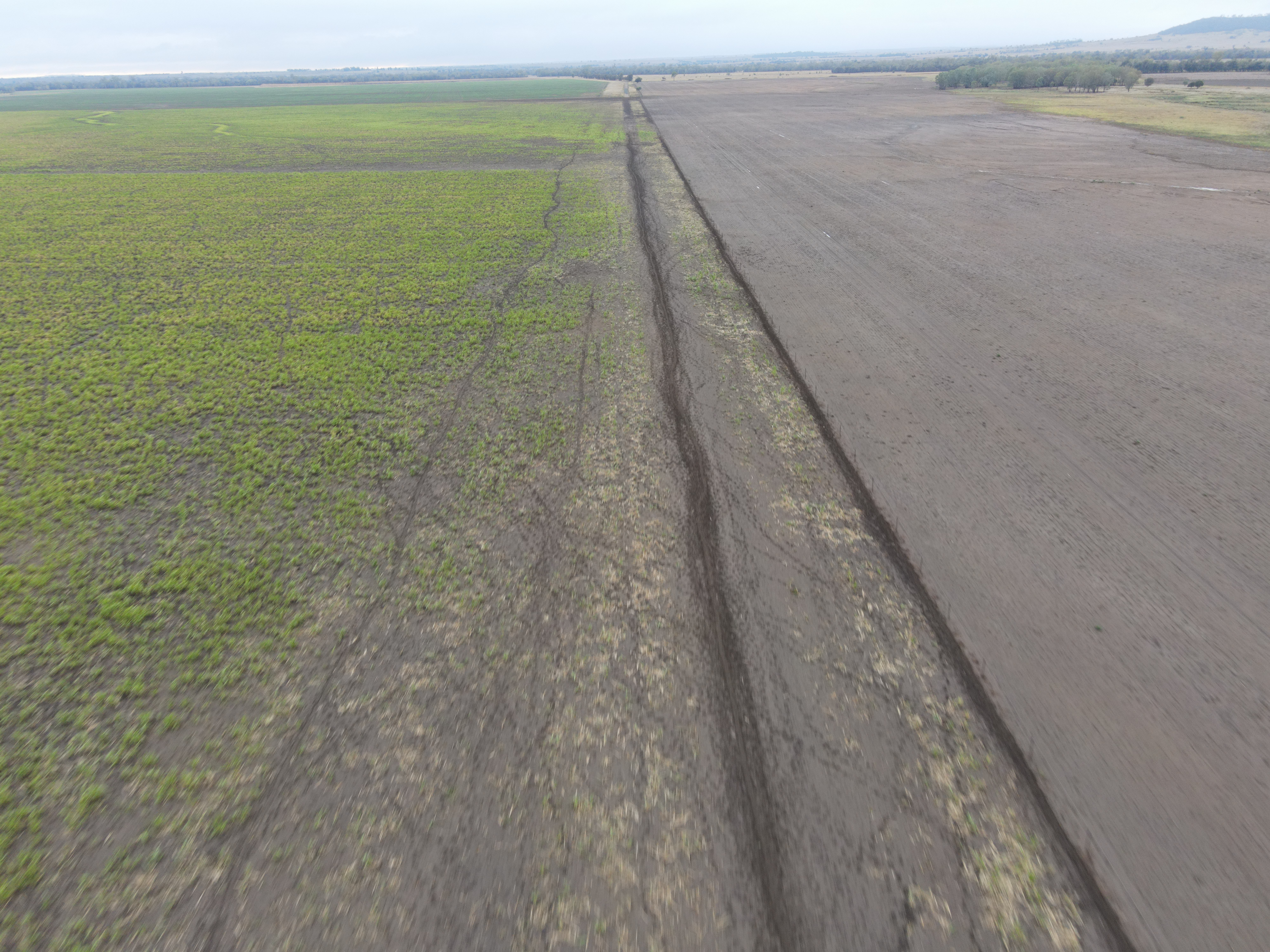 DJI_0209.jpg